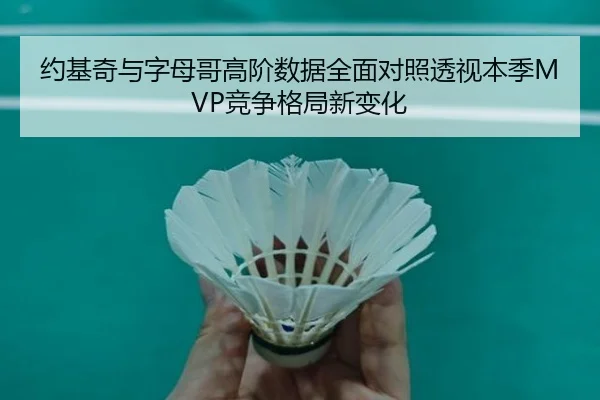 约基奇与字母哥高阶数据全面对照透视本季MVP竞争格局新变化