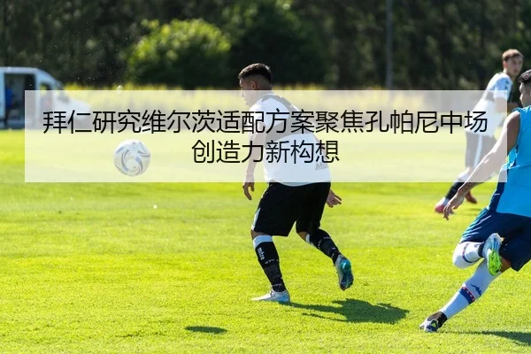 拜仁研究维尔茨适配方案聚焦孔帕尼中场创造力新构想